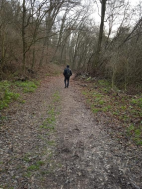 Vycházky a výlety 2025