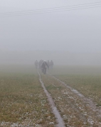 Vycházky a výlety 2025