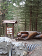 Vycházky a výlety 2025