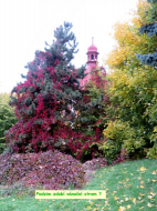 Výlet Dobětice říjen 2025