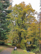 Ozdravný pobyt v Jeseníkách v říjnu 2025