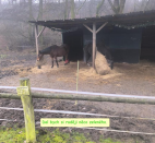 Výlet Opárno prosinec 2025